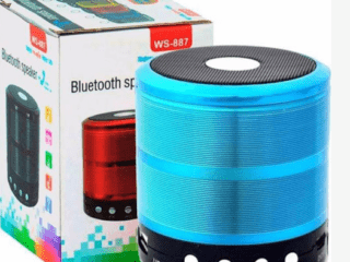 WS-887 Mini Bluetooth Speaker